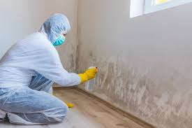 Best Mold Prevention Services  in Victor, ID