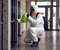 Mold Remediation for Vacation Homes in Victor, ID